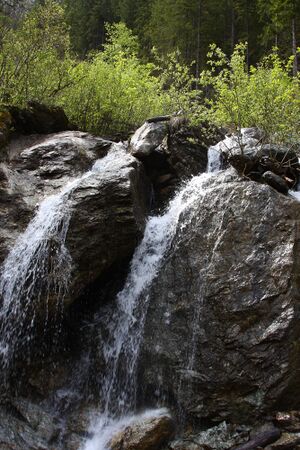 Schupferalmweg 3917 13-05-26.jpg