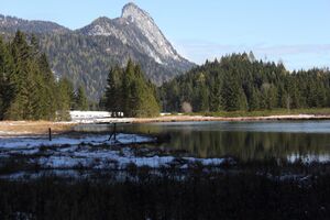 Spechtensee 62904 2017-10-31.jpg