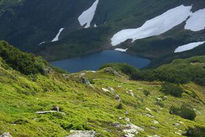 Untere riednersee 65423 2014-06-26.jpg