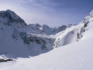 Wildkar 2613 2007-03-11.jpg