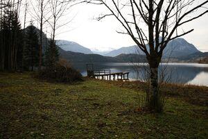 Altaussee seewiese 79087 2014-11-15.jpg