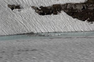 Augstsee loser 50335 2017-06-11.jpg