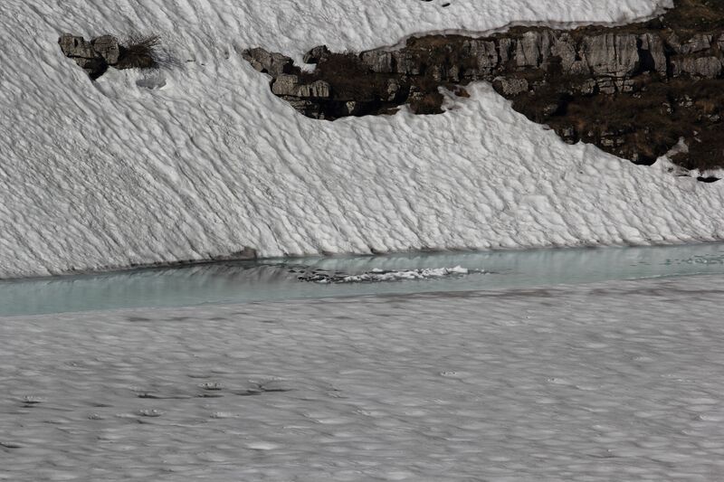 Datei:Augstsee loser 50335 2017-06-11.jpg