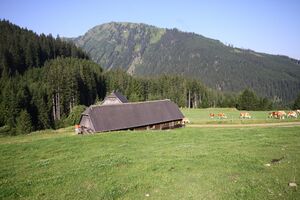 Beireutalm 1489 13-08-07.jpg