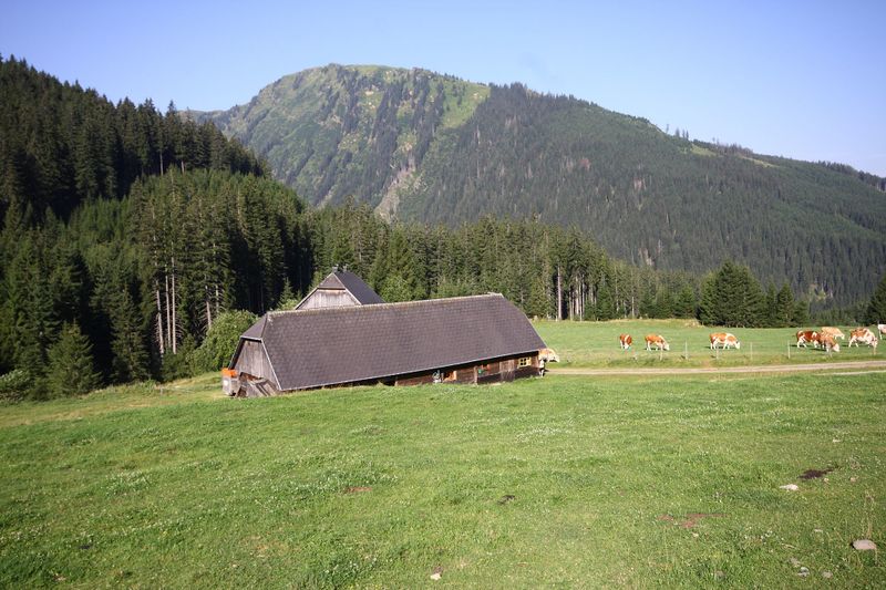 Datei:Beireutalm 1489 13-08-07.jpg