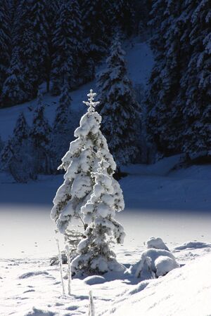 Bodensee 26592 2014-01-01.jpg
