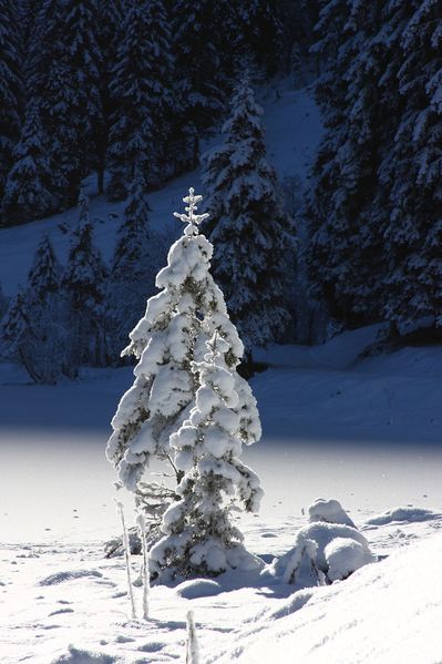 Datei:Bodensee 26592 2014-01-01.jpg