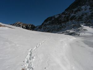 Buckelkarsee 3418 2006-11-08.jpg