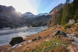 Duisitzkarsee 14299 2011-11-30.jpg