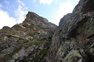 Herzmaierkar 32556 2011-07-06.jpg