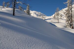 Hollermahd 2821 2007-11-28.jpg