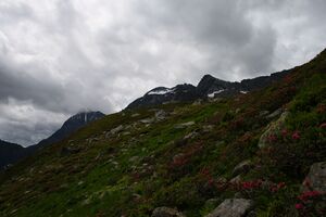 Im stegerkar 23977 2008-07-09.jpg