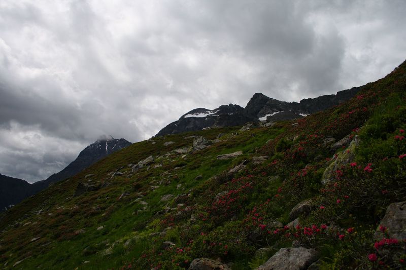 Datei:Im stegerkar 23977 2008-07-09.jpg