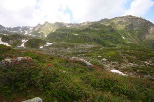 Im wildkar 23610 2008-06-26.jpg