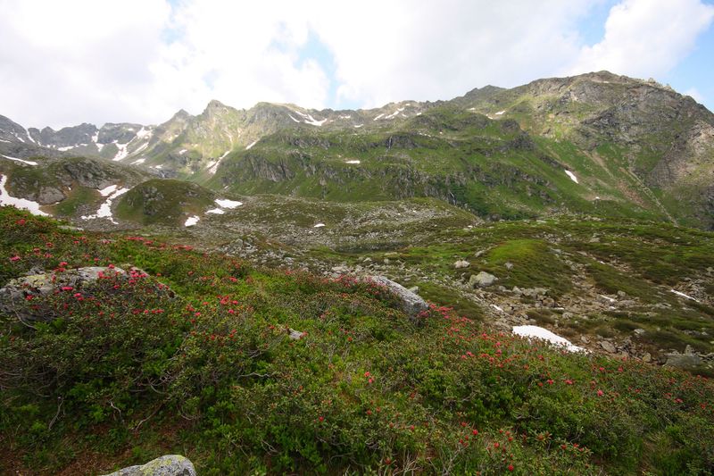 Datei:Im wildkar 23610 2008-06-26.jpg