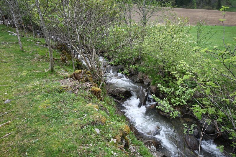 Datei:Knallbach 55966 2014-05-02.jpg