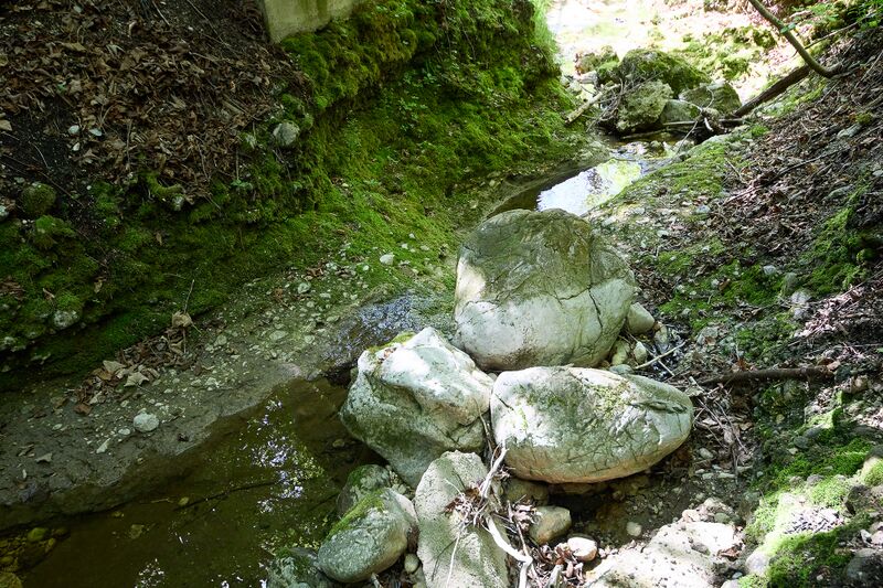 Datei:ND 356 Teichenbach Unterkainisch-0243-2025-05-01.jpg