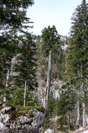 Oberwasseralm 79175 2014-11-15.jpg