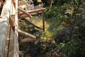 Strummern mühlreith 47208 2017-05-17.jpg