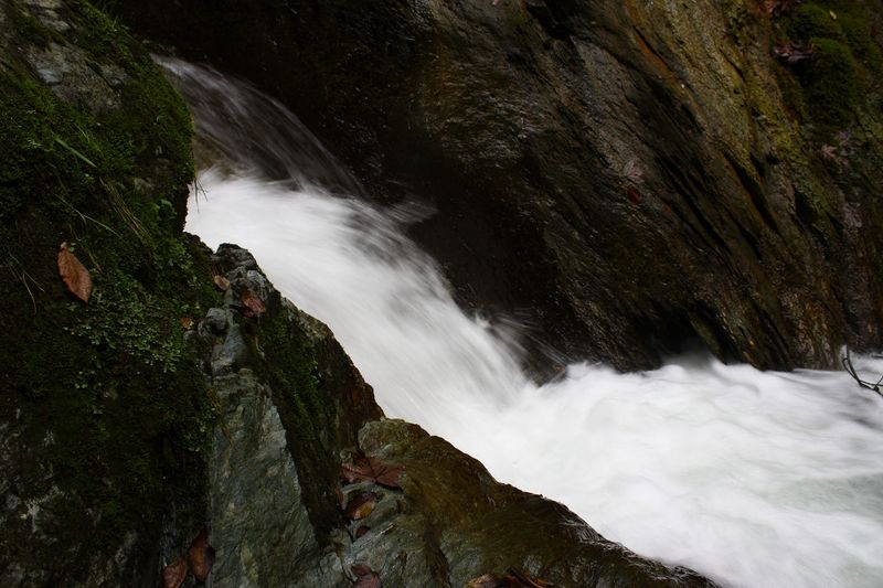 Datei:Teufelsschlucht Seewigtal 73381 2014-10-02.jpg