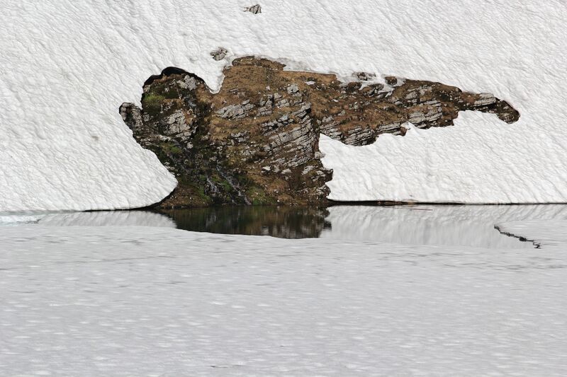 Datei:Augstsee loser 50334 2017-06-11.jpg