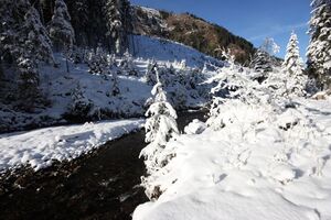 Bodenseerbach 26731 2014-01-01.jpg