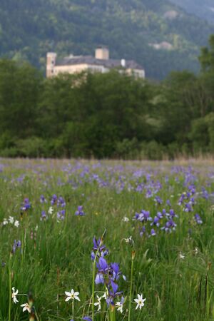 Enns-Altarme Niederstuttern 58400 2014-05-21.jpg