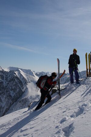 Geinkel 1361 2008-03-30.jpg