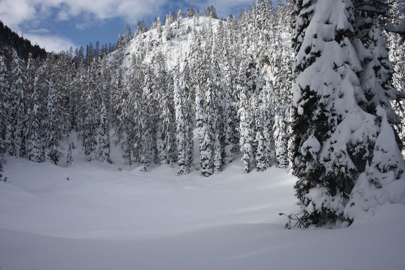 Datei:Hochwiesmahd 2013-01-09 4381.jpg