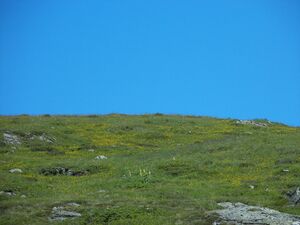 Im stegerkar 17693 2006-07-17.jpg