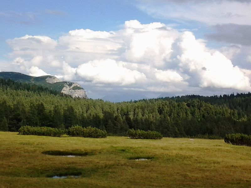 Datei:Karstfläche Kirchfeld 3.jpg