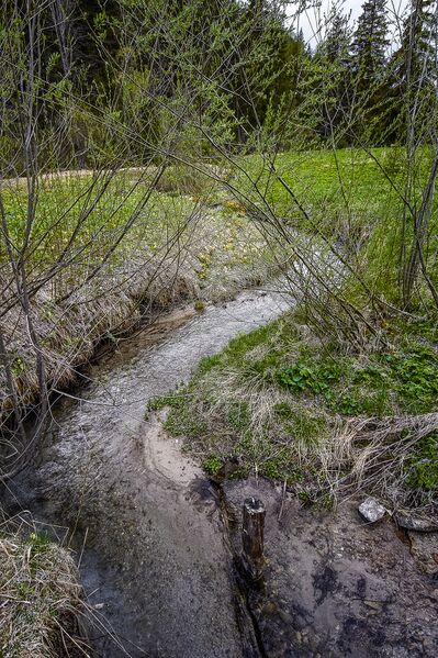 Datei:Knollbach ramsau 20-05-01 1034.jpg