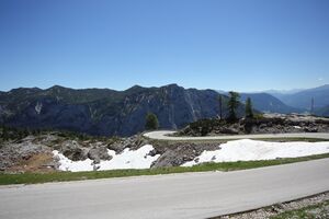 Loserstraße 50439 2017-06-11.jpg