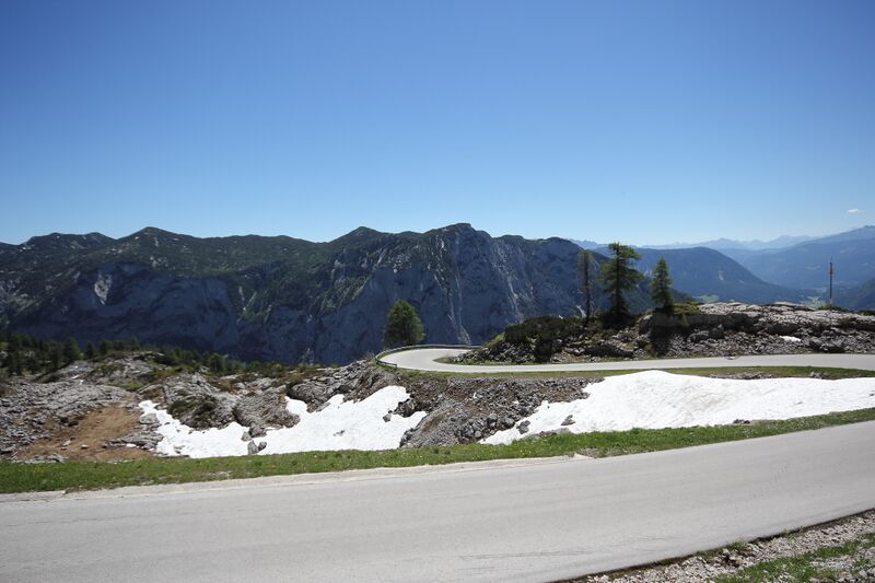 Datei:Loserstraße 50439 2017-06-11.jpg