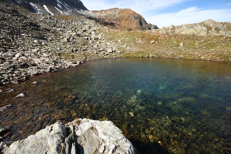 Datei:Nördliche krukecklacke 01702 2015-09-13.jpg