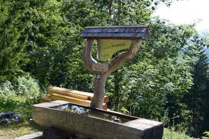 Naturfreundehütte Palfau-0650-2025-06-24.jpg