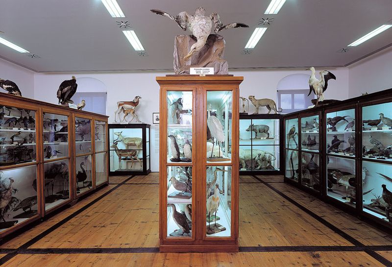 Datei:Naturhistorische-Museum2.jpg