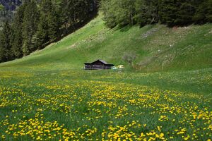 Sagschneiderhof kleinsölk 72906 2014-05-10.jpg