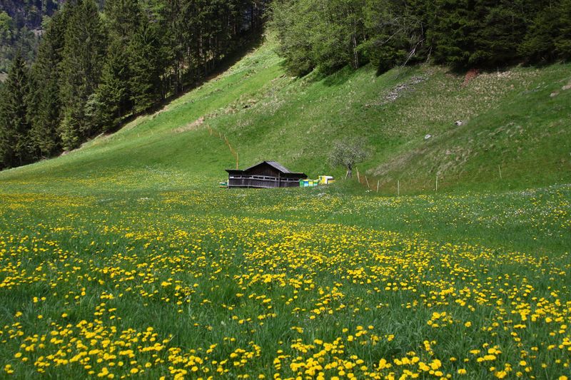 Datei:Sagschneiderhof kleinsölk 72906 2014-05-10.jpg