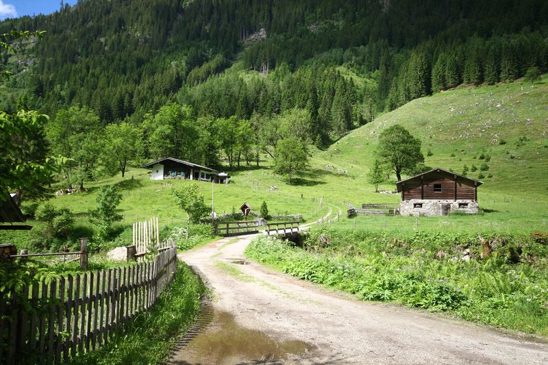 Datei:Silbersteinalm obertal 24982 2016-06-15.jpg