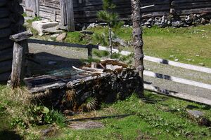 Strickeralm 55535 2014-05-02.jpg