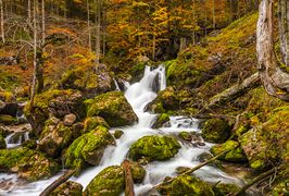 2013-10-19 D8C6402 Hartelsgraben.jpg