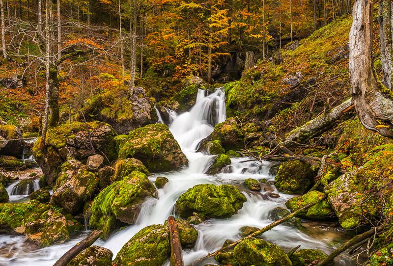 Datei:2013-10-19 D8C6402 Hartelsgraben.jpg