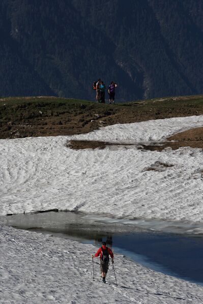 Datei:Augstsee loser 50331 2017-06-11.jpg