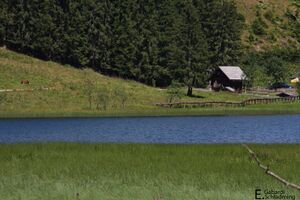 BodenseeIMG 0537.jpg