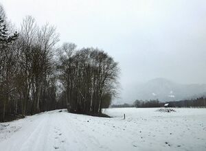 Ennsau Wörschach010806.JPG