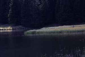 Etrachsee 4934 13-09-04.jpg