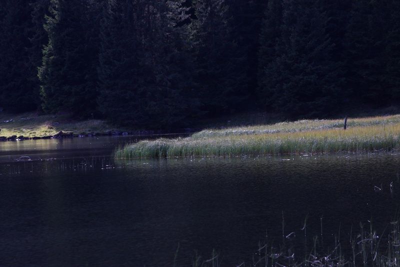 Datei:Etrachsee 4934 13-09-04.jpg