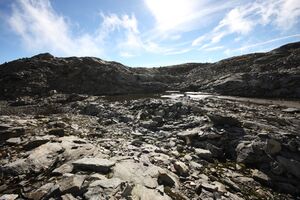 Goldlacken 0284 2013-10-08.jpg