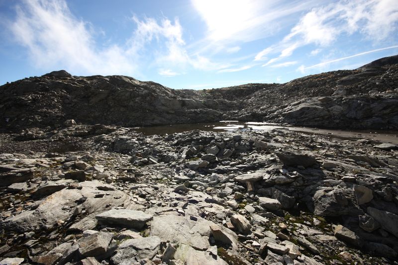 Datei:Goldlacken 0284 2013-10-08.jpg